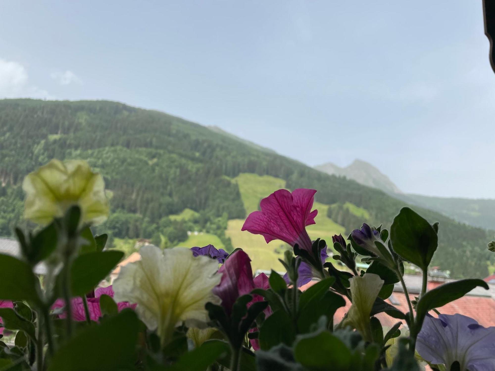Wengerbauer Villa Dorfgastein Kültér fotó